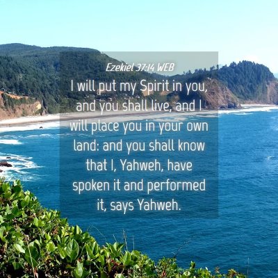 Picture 04 - Ezekiel 37:14 WEB - I will put my Spirit in you, and you shall live, - Bible Verse Picture