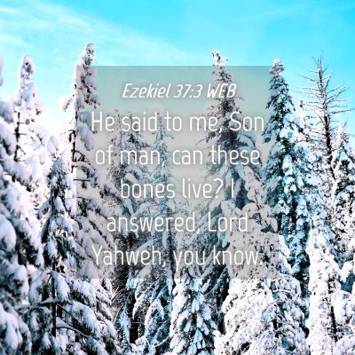 Picture 04 - Ezekiel 37:3 WEB - He said to me, Son of man, can these bones live? - Bible Verse Picture
