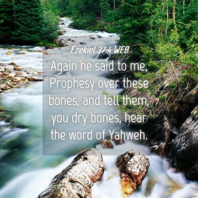 Picture 04 - Ezekiel 37:4 WEB - Again he said to me, Prophesy over these bones, - Bible Verse Picture