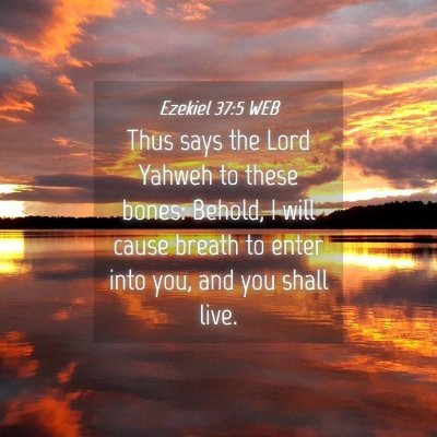 Picture 04 - Ezekiel 37:5 WEB - Thus says the Lord Yahweh to these bones: Behold, - Bible Verse Picture