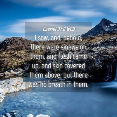 Picture 04 - Ezekiel 37:8 WEB - I saw, and, behold, there were sinews on them, - Bible Verse Picture