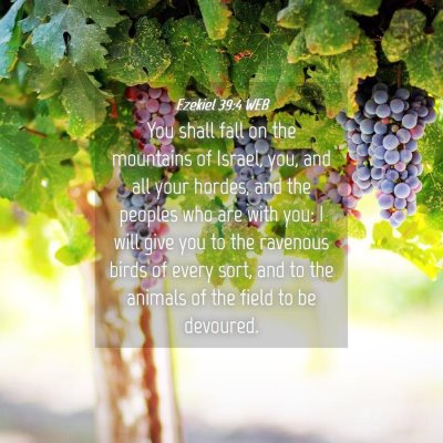 Picture 04 - Ezekiel 39:4 WEB - You shall fall on the mountains of Israel, you, - Bible Verse Picture