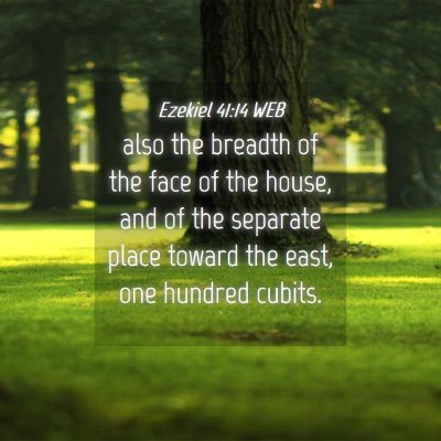 Picture 04 - Ezekiel 41:14 WEB - also the breadth of the face of the house, and of - Bible Verse Picture