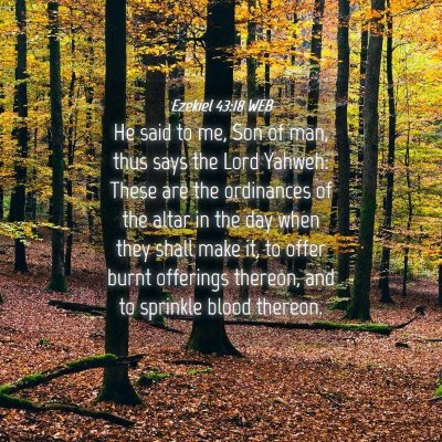 Picture 04 - Ezekiel 43:18 WEB - He said to me, Son of man, thus says the Lord - Bible Verse Picture