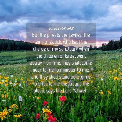 Picture 04 - Ezekiel 44:15 WEB - But the priests the Levites, the sons of Zadok, - Bible Verse Picture
