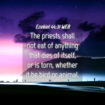 Picture 04 - Ezekiel 44:31 WEB - The priests shall not eat of anything that dies - Bible Verse Picture