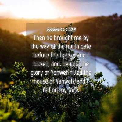 Picture 04 - Ezekiel 44:4 WEB - Then he brought me by the way of the north gate - Bible Verse Picture
