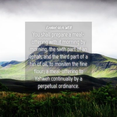 Picture 04 - Ezekiel 46:14 WEB - You shall prepare a meal-offering with it morning - Bible Verse Picture