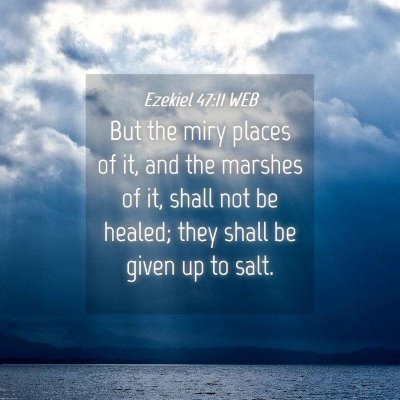 Picture 04 - Ezekiel 47:11 WEB - But the miry places of it, and the marshes of it, - Bible Verse Picture