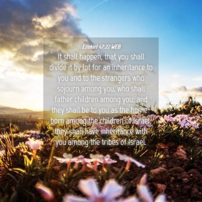 Picture 04 - Ezekiel 47:22 WEB - It shall happen, that you shall divide it by lot - Bible Verse Picture