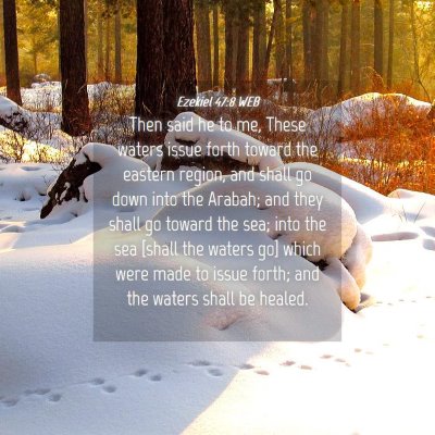 Picture 04 - Ezekiel 47:8 WEB - Then said he to me, These waters issue forth - Bible Verse Picture