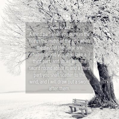 Picture 04 - Ezekiel 5:2 WEB - A third part shall you burn in the fire in the - Bible Verse Picture