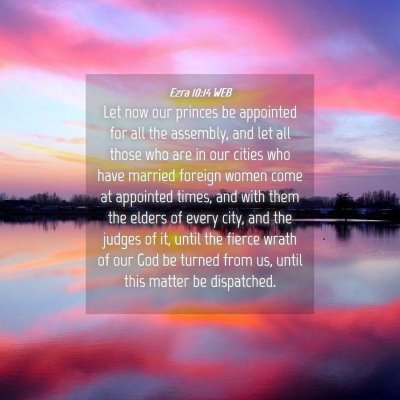 Picture 04 - Ezra 10:14 WEB - Let now our princes be appointed for all the - Bible Verse Picture