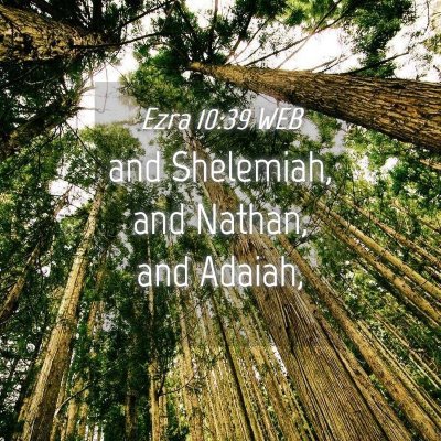 Picture 04 - Ezra 10:39 WEB - and Shelemiah, and Nathan, and - Bible Verse Picture