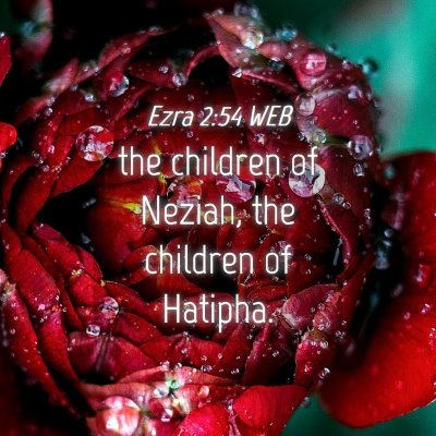 Picture 04 - Ezra 2:54 WEB - the children of Neziah, the children of - Bible Verse Picture