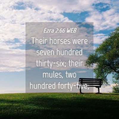Picture 04 - Ezra 2:66 WEB - Their horses were seven hundred thirty-six; their - Bible Verse Picture