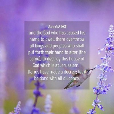 Picture 04 - Ezra 6:12 WEB - and the God who has caused his name to dwell - Bible Verse Picture