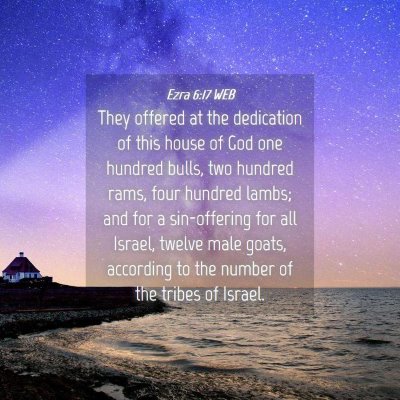 Picture 04 - Ezra 6:17 WEB - They offered at the dedication of this house of - Bible Verse Picture