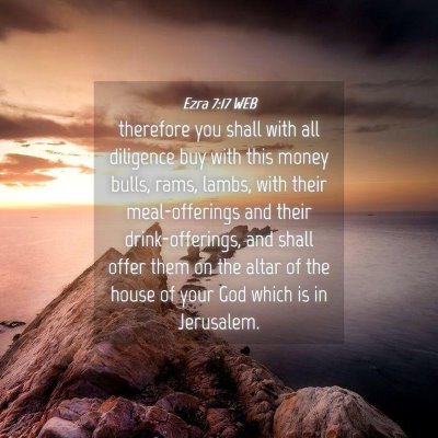 Picture 04 - Ezra 7:17 WEB - therefore you shall with all diligence buy with - Bible Verse Picture