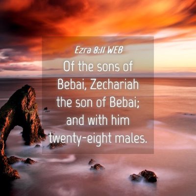 Picture 04 - Ezra 8:11 WEB - Of the sons of Bebai, Zechariah the son of Bebai; - Bible Verse Picture
