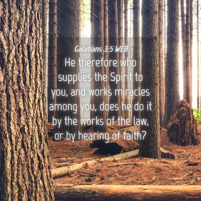 Picture 04 - Galatians 3:5 WEB - He therefore who supplies the Spirit to you, and - Bible Verse Picture