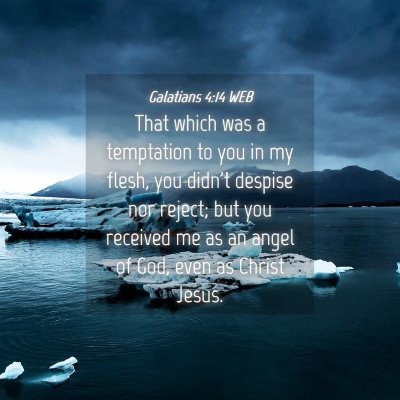 Picture 04 - Galatians 4:14 WEB - That which was a temptation to you in my flesh, - Bible Verse Picture