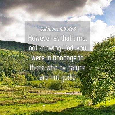 Picture 04 - Galatians 4:8 WEB - However at that time, not knowing God, you were - Bible Verse Picture