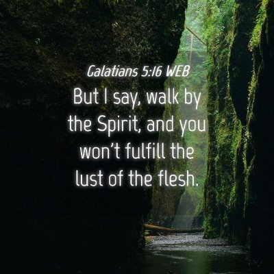 Picture 04 - Galatians 5:16 WEB - But I say, walk by the Spirit, and you won't - Bible Verse Picture