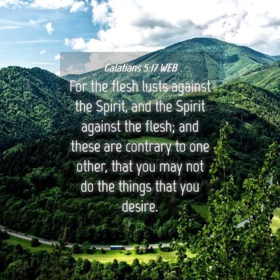 Picture 04 - Galatians 5:17 WEB - For the flesh lusts against the Spirit, and the - Bible Verse Picture