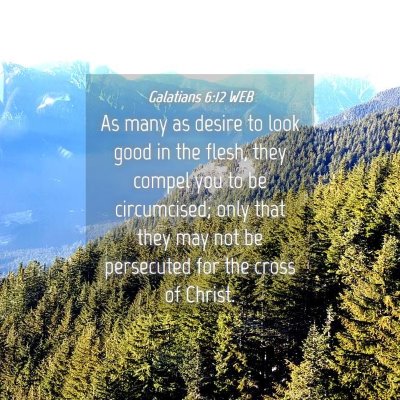 Picture 04 - Galatians 6:12 WEB - As many as desire to look good in the flesh, they - Bible Verse Picture