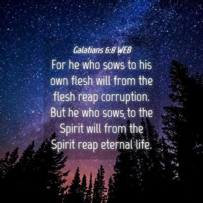Picture 04 - Galatians 6:8 WEB - For he who sows to his own flesh will from the - Bible Verse Picture