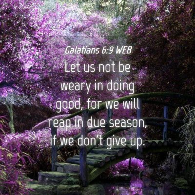 Picture 04 - Galatians 6:9 WEB - Let us not be weary in doing good, for we will - Bible Verse Picture