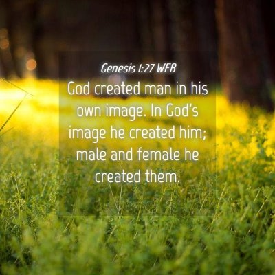 Picture 04 - Genesis 1:27 WEB - God created man in his own image. In God's image - Bible Verse Picture