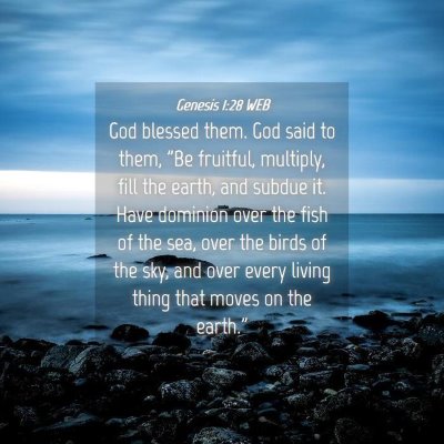 Picture 04 - Genesis 1:28 WEB - God blessed them. God said to them, 
