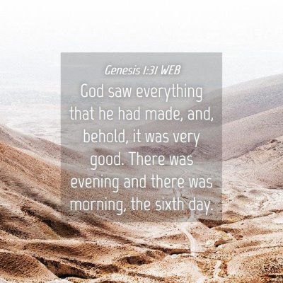 Picture 04 - Genesis 1:31 WEB - God saw everything that he had made, and, behold, - Bible Verse Picture