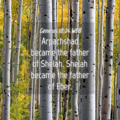 Picture 04 - Genesis 10:24 WEB - Arpachshad became the father of Shelah. Shelah - Bible Verse Picture