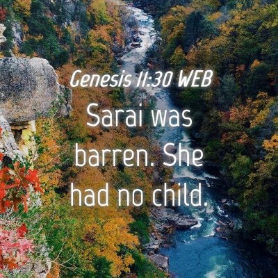 Picture 04 - Genesis 11:30 WEB - Sarai was barren. She had no - Bible Verse Picture
