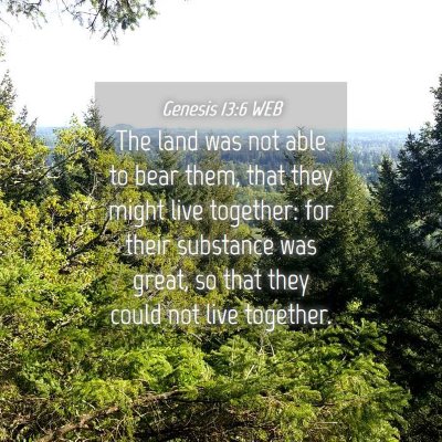 Picture 04 - Genesis 13:6 WEB - The land was not able to bear them, that they - Bible Verse Picture