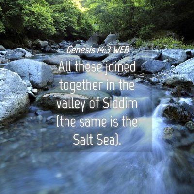 Picture 04 - Genesis 14:3 WEB - All these joined together in the valley of Siddim - Bible Verse Picture