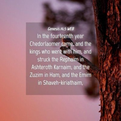 Picture 04 - Genesis 14:5 WEB - In the fourteenth year Chedorlaomer came, and the - Bible Verse Picture