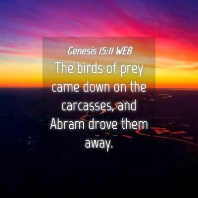 Picture 04 - Genesis 15:11 WEB - The birds of prey came down on the carcasses, and - Bible Verse Picture