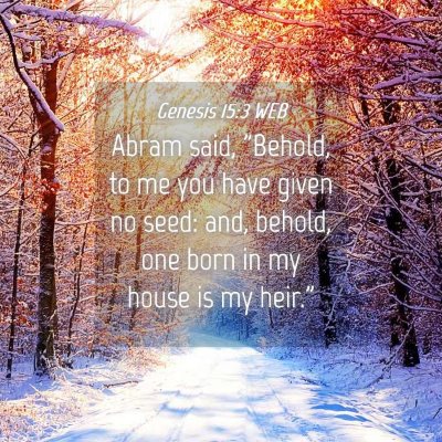 Picture 04 - Genesis 15:3 WEB - Abram said, 