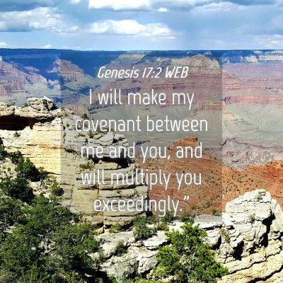 Picture 04 - Genesis 17:2 WEB - I will make my covenant between me and you, and - Bible Verse Picture