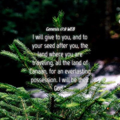 Picture 04 - Genesis 17:8 WEB - I will give to you, and to your seed after you, - Bible Verse Picture