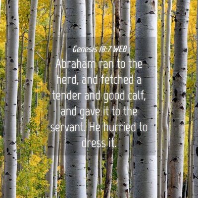 Picture 04 - Genesis 18:7 WEB - Abraham ran to the herd, and fetched a tender and - Bible Verse Picture