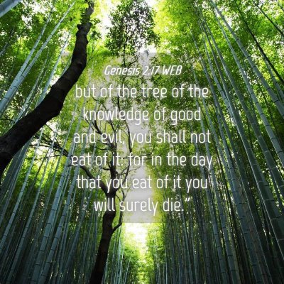 Picture 04 - Genesis 2:17 WEB - but of the tree of the knowledge of good and - Bible Verse Picture
