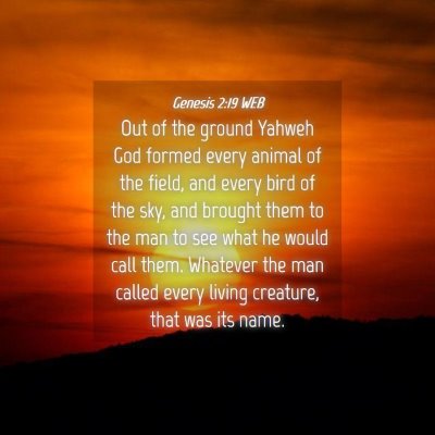 Picture 04 - Genesis 2:19 WEB - Out of the ground Yahweh God formed every animal - Bible Verse Picture