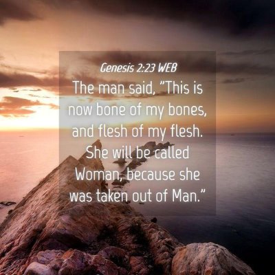 Picture 04 - Genesis 2:23 WEB - The man said, 