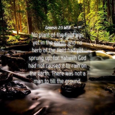 Picture 04 - Genesis 2:5 WEB - No plant of the field was yet in the earth, and - Bible Verse Picture