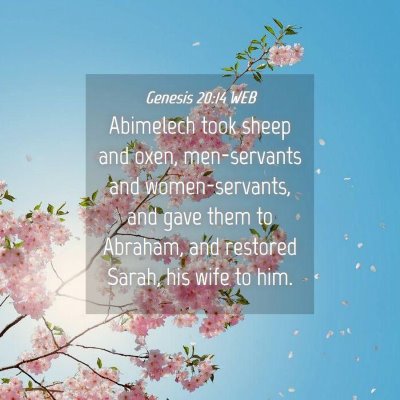 Picture 04 - Genesis 20:14 WEB - Abimelech took sheep and oxen, men-servants and - Bible Verse Picture